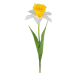 Pingstlilja Påsklilja Blomkvist 60 Cm - Konstväxt